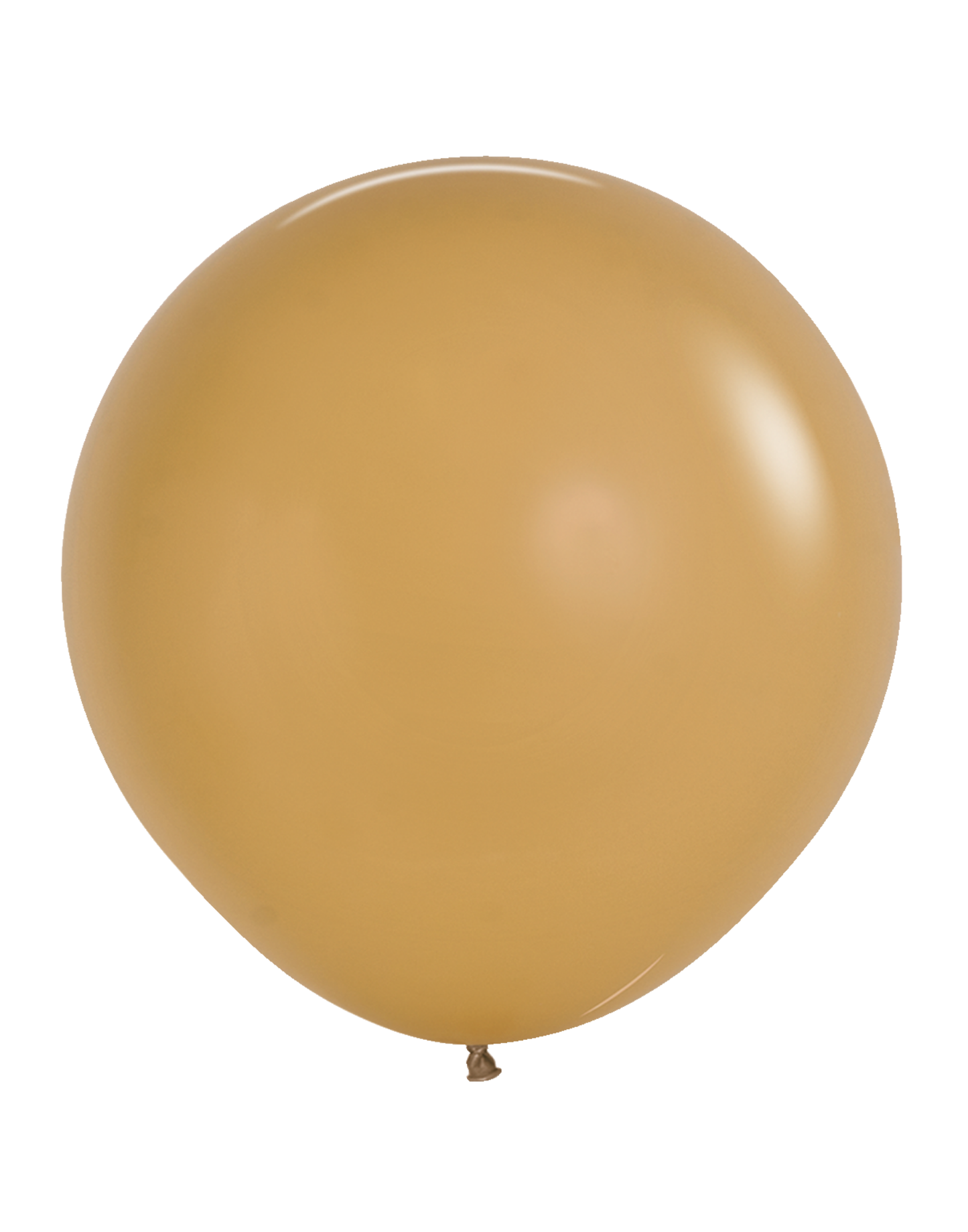 24" Solid - Sempertex